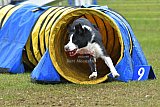 Canis zondag
