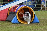Canis zondag