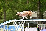 Canis zondag