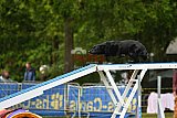 Canis zondag