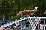 Canis zondag