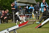 Canis zondag