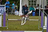 Canis zondag