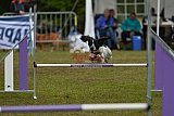 Canis zondag