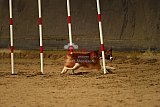 E.O.selectie wedstrijd zaterdag