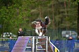 Finale canis