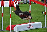 Royal Canin Masters 2025 geldrop