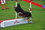 Royal Canin Masters 2025 geldrop