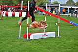 Royal Canin Masters 2025 geldrop