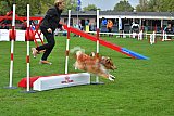 Royal Canin Masters 2025 geldrop