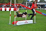 Royal Canin Masters 2025 geldrop