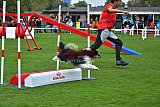 Royal Canin Masters 2025 geldrop