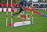 Royal Canin Masters 2025 geldrop