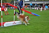 Royal Canin Masters 2025 geldrop