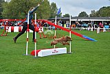 Royal Canin Masters 2025 geldrop