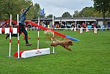Royal Canin Masters 2025 geldrop