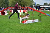 Royal Canin Masters 2025 geldrop