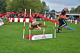 Royal Canin Masters 2025 geldrop