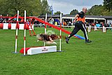 Royal Canin Masters 2025 geldrop