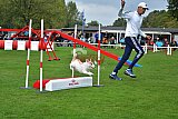 Royal Canin Masters 2025 geldrop