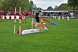 Royal Canin Masters 2025 geldrop