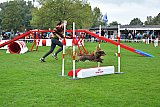 Royal Canin Masters 2025 geldrop