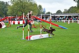 Royal Canin Masters 2025 geldrop