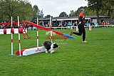 Royal Canin Masters 2025 geldrop