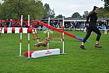 Royal Canin Masters 2025 geldrop