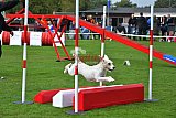 Royal Canin Masters 2025 geldrop