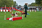 Royal Canin Masters 2025 geldrop