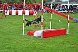 Royal Canin Masters 2025 geldrop