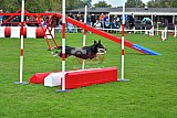 Royal Canin Masters 2025 geldrop