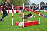 Royal Canin Masters 2025 geldrop