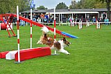 Royal Canin Masters 2025 geldrop