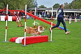 Royal Canin Masters 2025 geldrop