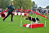 Royal Canin Masters 2025 geldrop