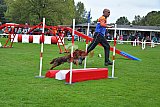 Royal Canin Masters 2025 geldrop