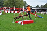 Royal Canin Masters 2025 geldrop