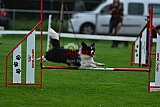 Royal Canin Masters 2025 geldrop