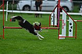Royal Canin Masters 2025 geldrop