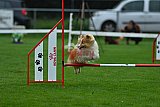 Royal Canin Masters 2025 geldrop