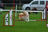 Royal Canin Masters 2025 geldrop