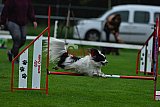 Royal Canin Masters 2025 geldrop