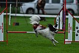 Royal Canin Masters 2025 geldrop