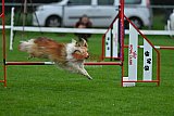 Royal Canin Masters 2025 geldrop