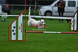Royal Canin Masters 2025 geldrop