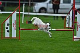 Royal Canin Masters 2025 geldrop