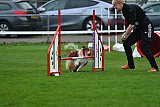 Royal Canin Masters 2025 geldrop