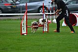 Royal Canin Masters 2025 geldrop